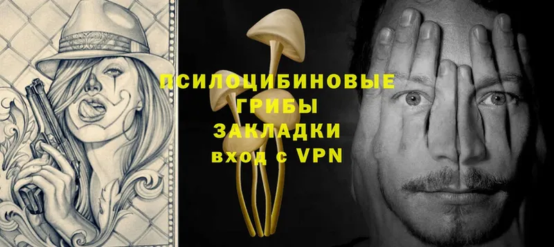 Псилоцибиновые грибы GOLDEN TEACHER  Миллерово 